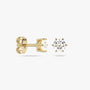 5C TIMELESS EARRINGS YELLOW GOLD
