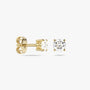 5C BASIC EARRINGS YELLOW GOLD