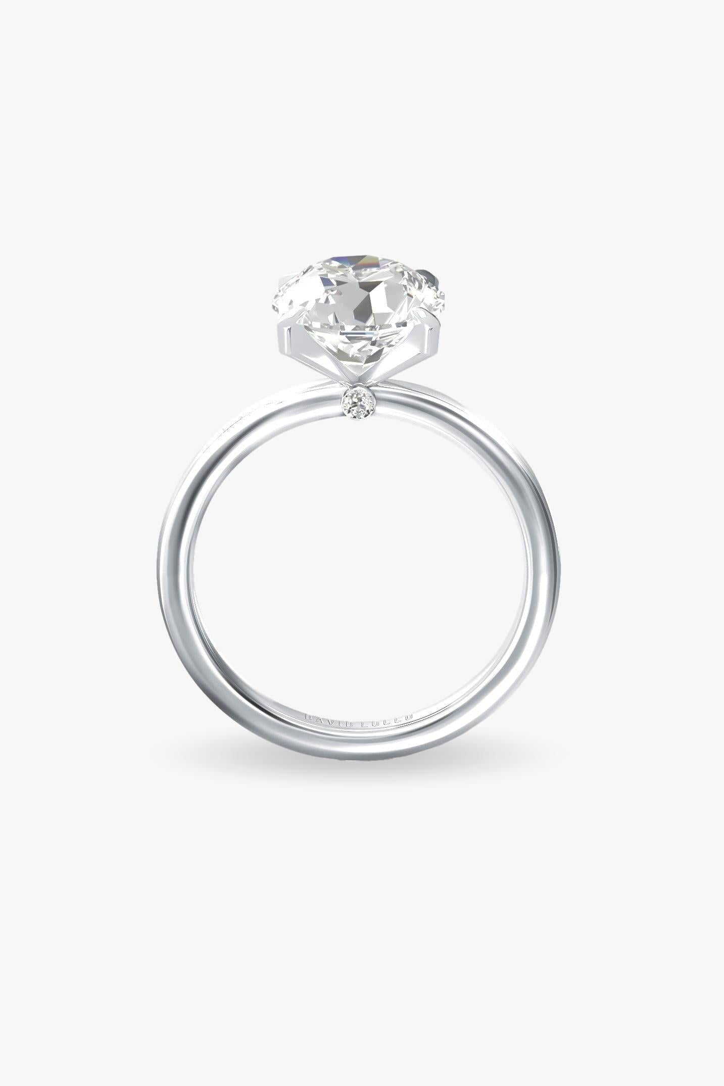 Oro blanco-3