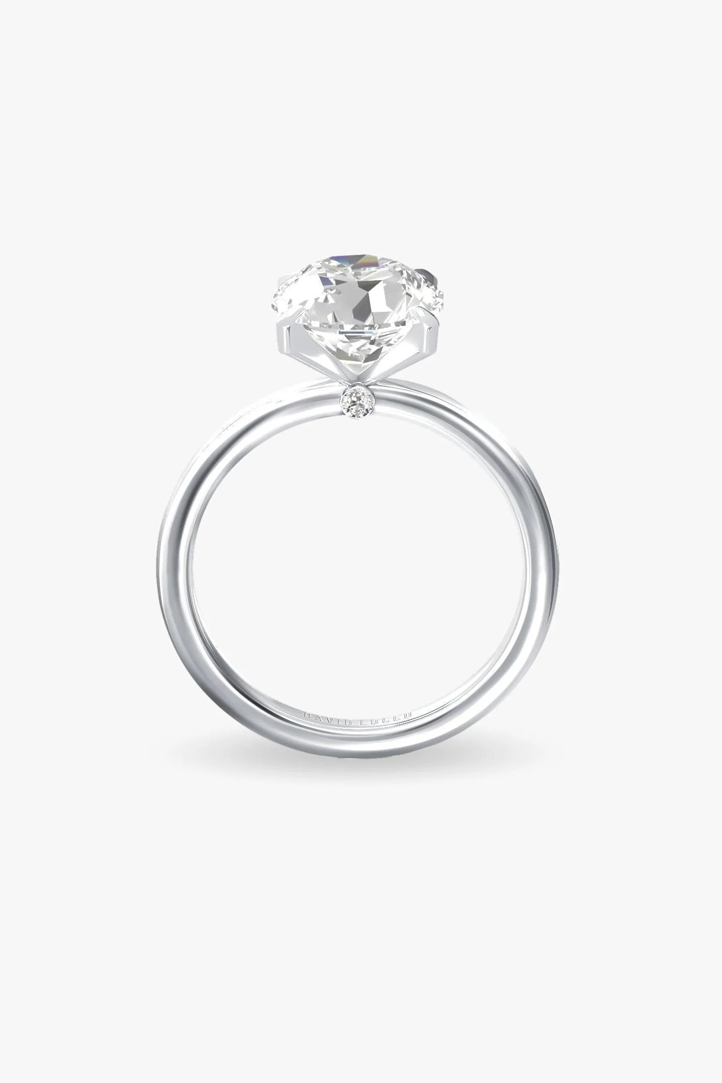 Oro blanco-3